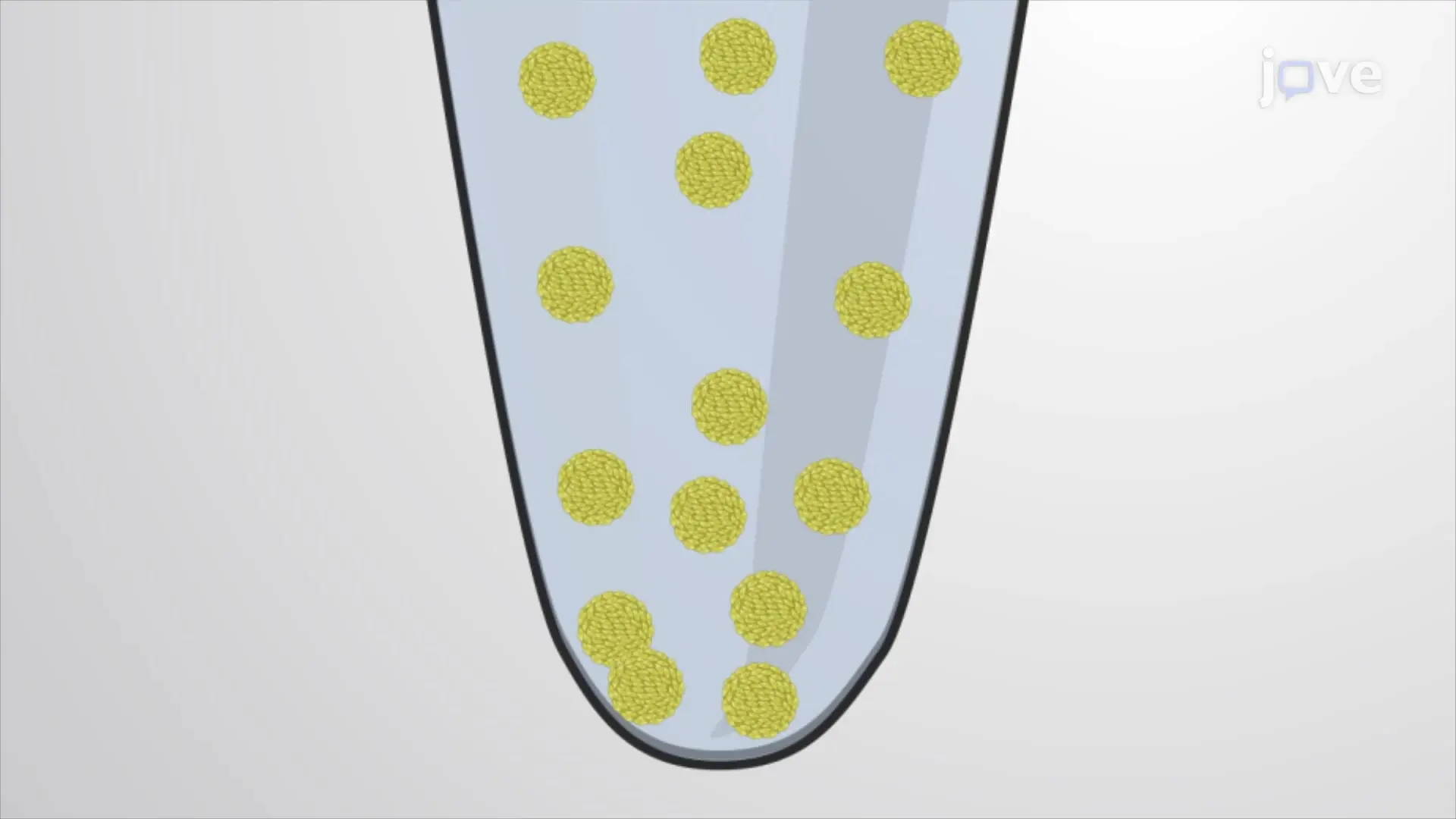 Agarose Spin Down Assay: A Technique to Embed Organoids for Histological Analysis