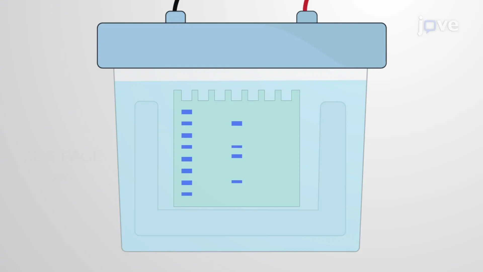 SDS-PAGE Based Extraction of Extracellular Vesicles Associated Proteins: A Procedure to Extract Proteins from EVs and Prepare Them for In-Gel Digestion