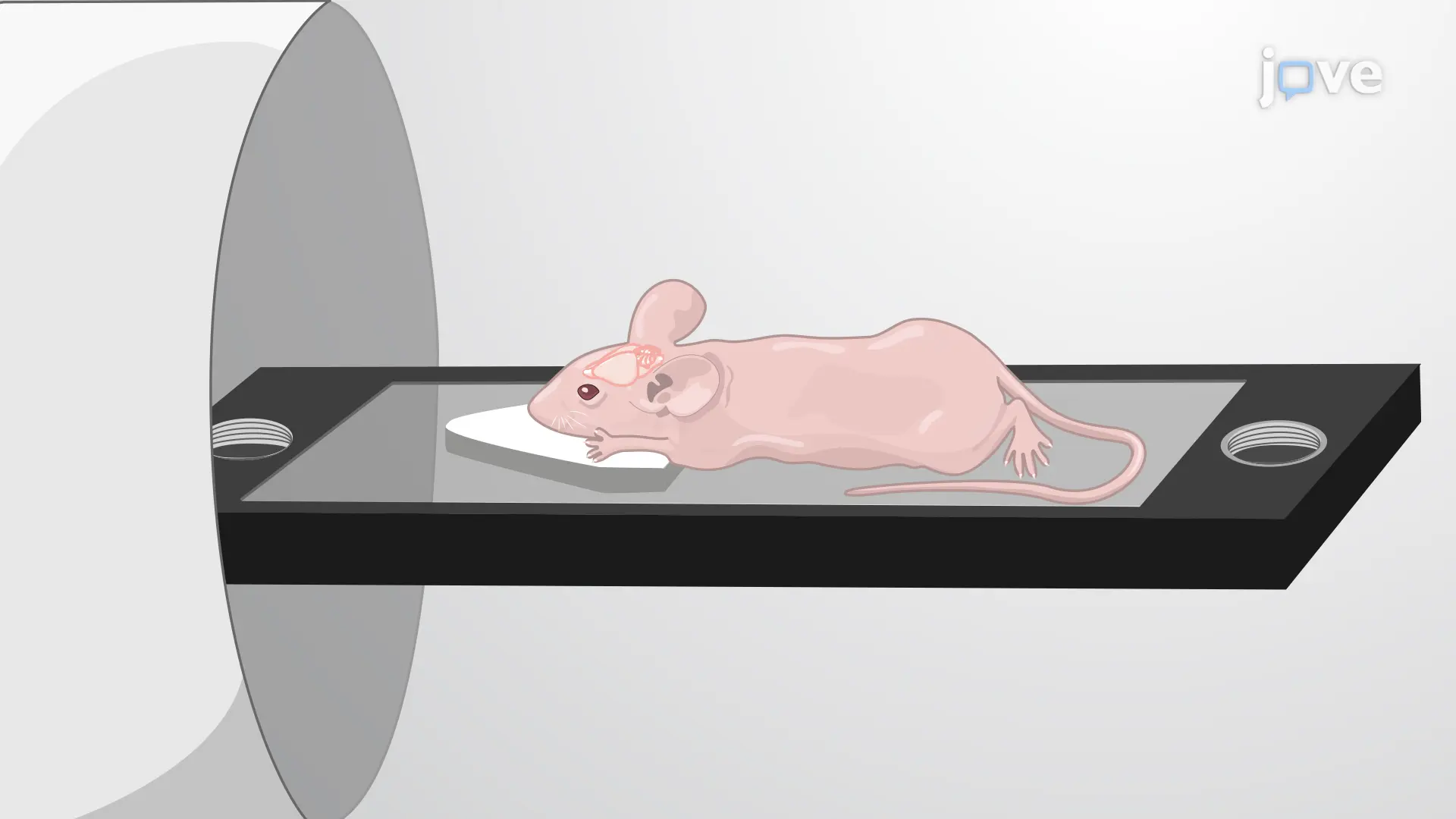 Fluorescence Molecular Tomography: An Imaging Technique for In Vivo Imaging of Fluorescent Protein-tagged Glioblastoma Xenografts in Mouse Model