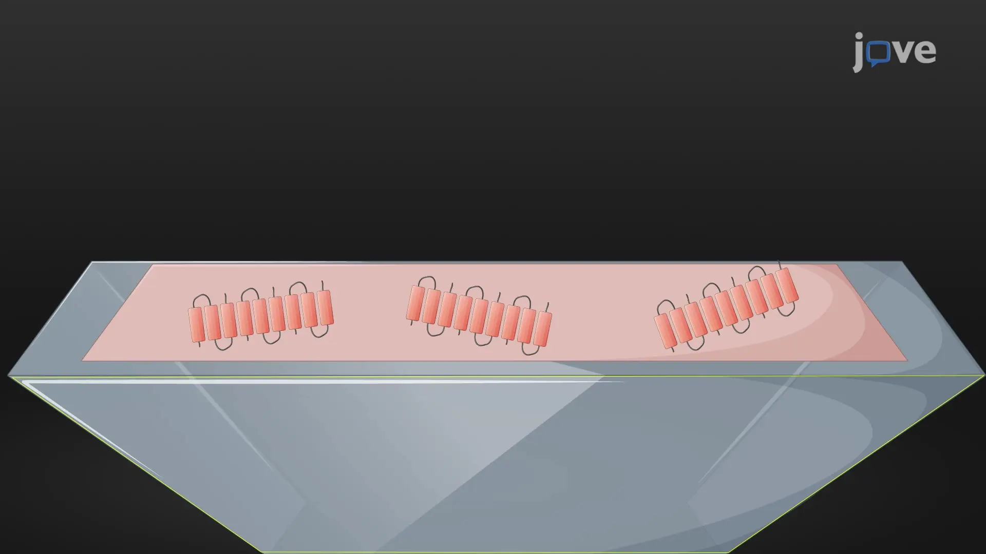 A Fourier Transform Infrared Spectroscopy Technique to Study Peptide Self-Assembly