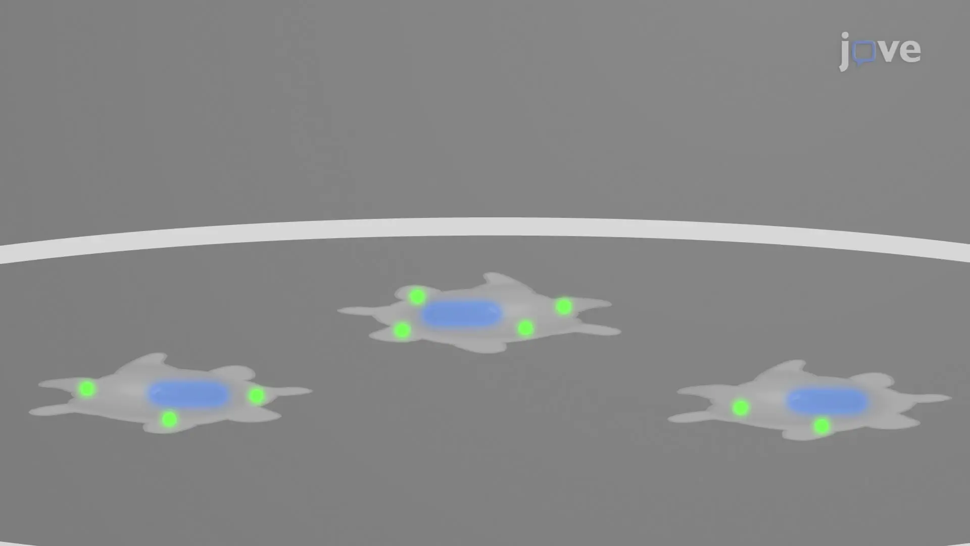 Detection of Inflammasome Activation via Fluorescence Microscopy