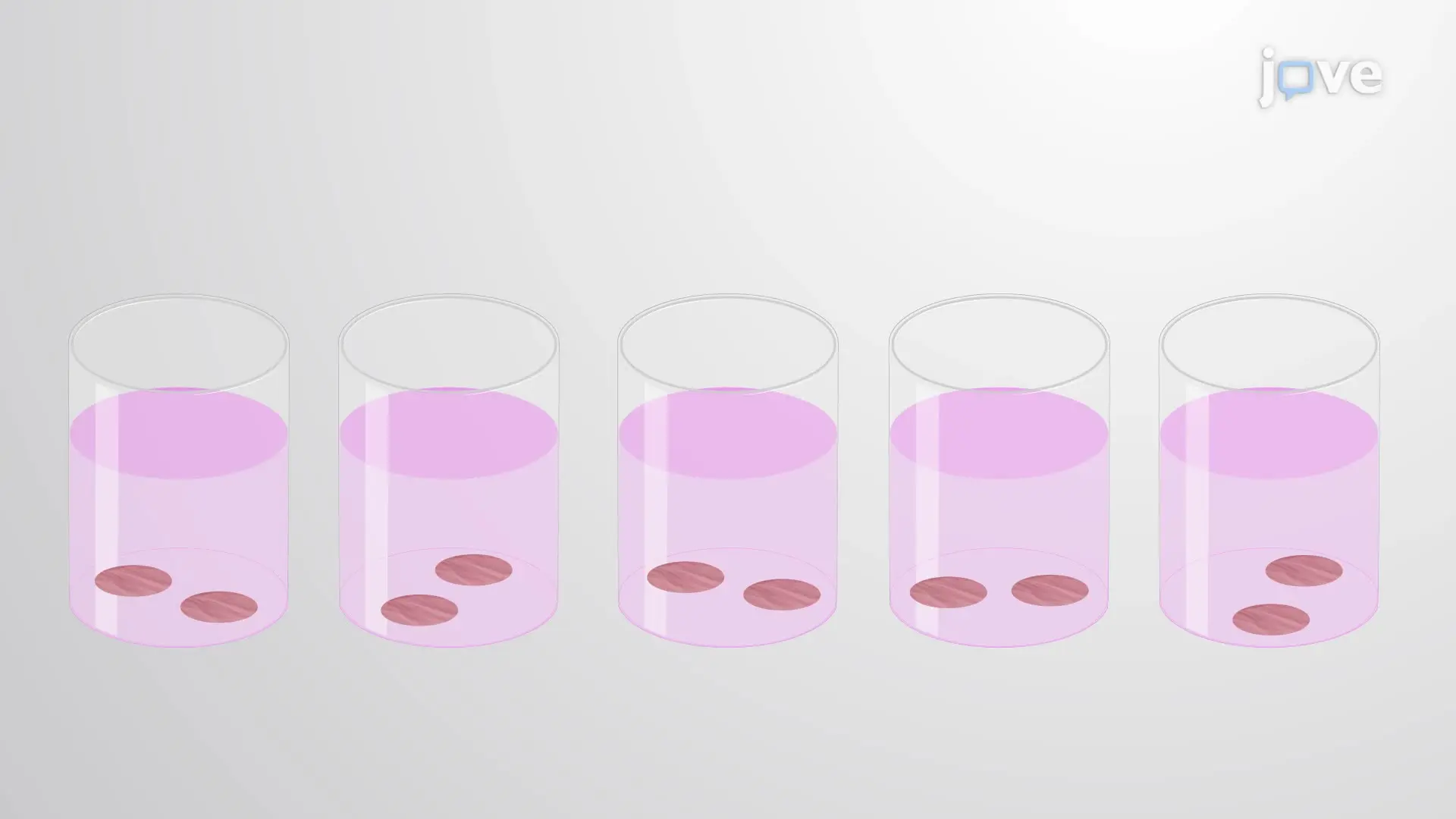 An Assay to Measure Chemically-Induced Cytotoxicity in Human Precision-Cut Lung Slices