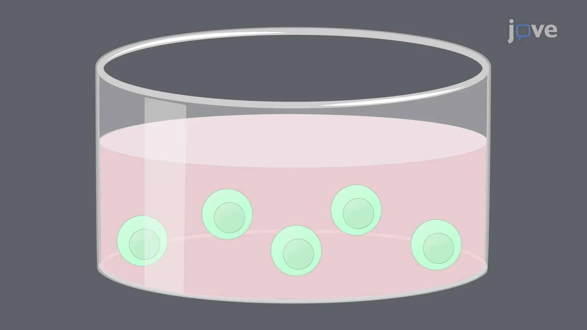 A CRISPR-Cas9 Technique for Gene Editing in T Cells