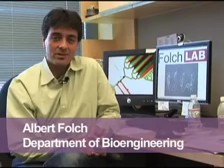 BioMEMS and Cellular Biology: Perspektiven und Anwendungen