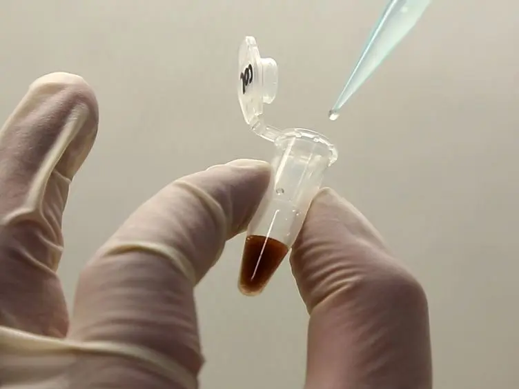 Un tégument Literie dosage à explorer génétiquement