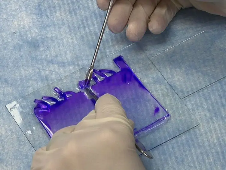 Miglioramento in gel riduttive solfo-glycomics β-eliminazione completa per O-linked e di spettrometria di massa