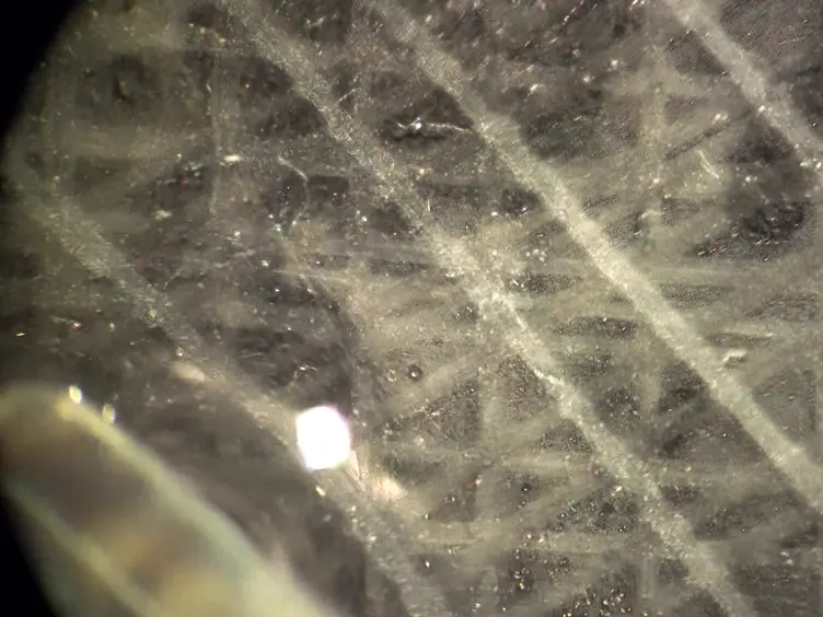 Xenopus laevis como um modelo para identificar Tradução Impairment