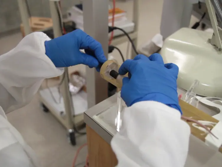 L'utilisation de l'IRM de terrain ultra-haute dans les modèles petit rongeur de la maladie polykystique des reins pour