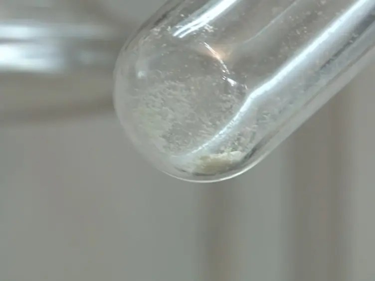 Palladio N Complessi di Carbene eterocicliche: Sintesi dei sali di benzimidazolium e attività catalitica in reazioni di formazione di legame di carbonio-carbonio