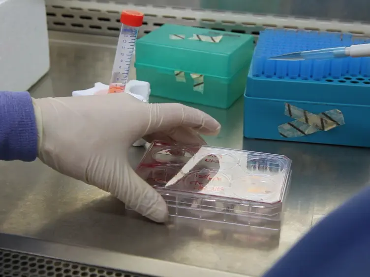 Erstbewertung der Antikörper-Konjugate mit Viral-abgeleitete Peptide zur Erhöhung der zellulären Akkumulation und Verbesserung der Tumor gezielt modifiziert