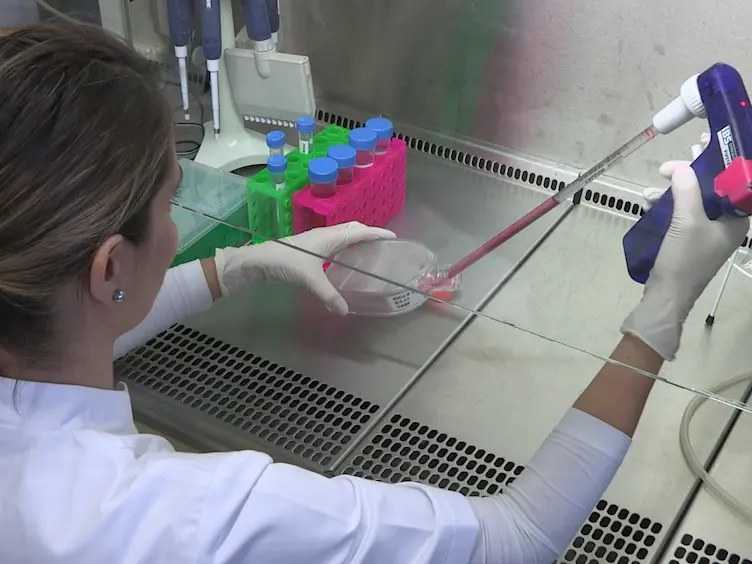 Misura simultanea di HDAC1 e HDAC6 attività in HeLa Cells utilizzando UHPLC-MS