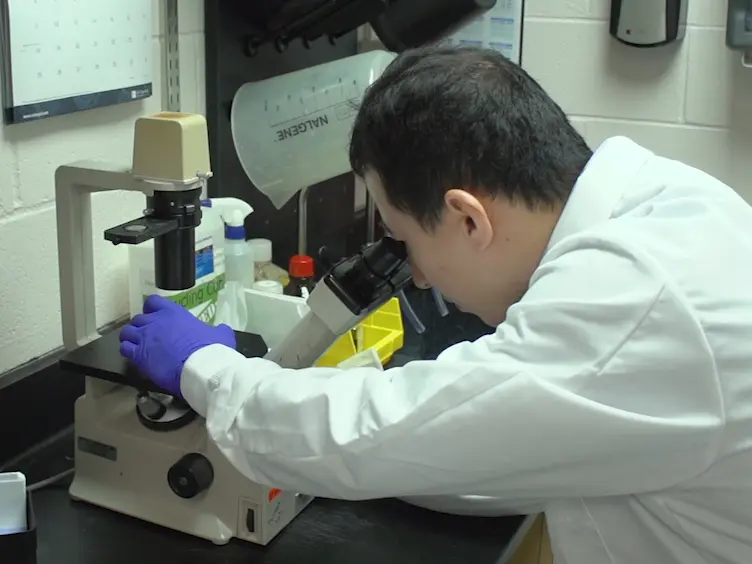À l’aide de l’homme induit des hépatocytes-comme dérivé de cellules souches pluripotentes for Drug Discovery
