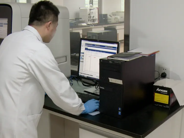 Effetti doppi di fattori derivati da cellule di Melanoma su differenziazione adipociti del midollo osseo