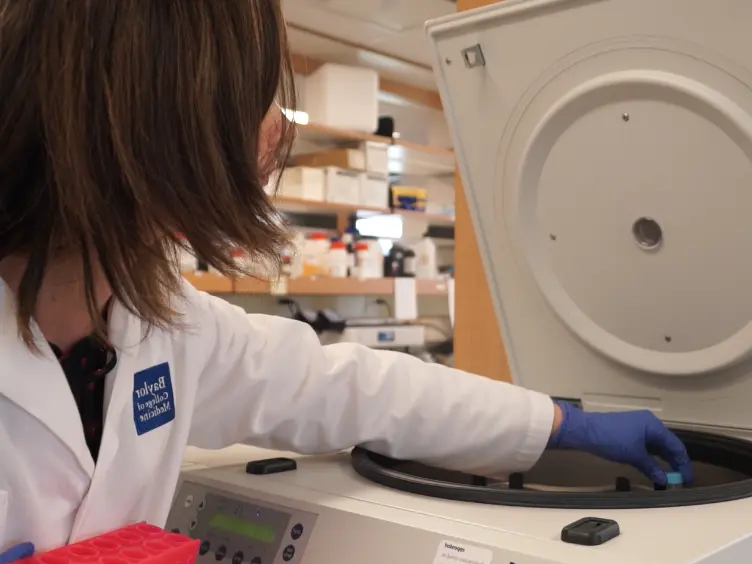 Enrichissement et la caractérisation des tumeur immunitaire et Non immuns micro-environnements dans les tumeurs murines sous-cutanée établis