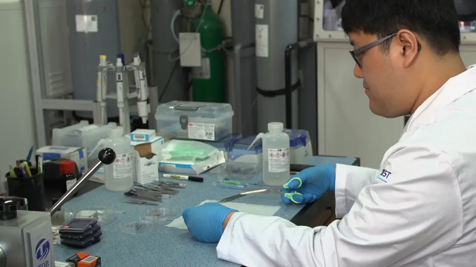 Preparación de las células del líquido de grafeno para la observación de Material de batería de iones de litio