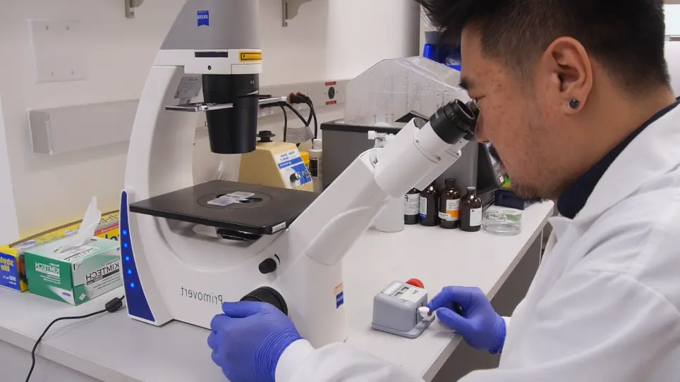 Enquête de dépendances génétiques utilisant la concurrence fondée sur les Cas9-CRISPR