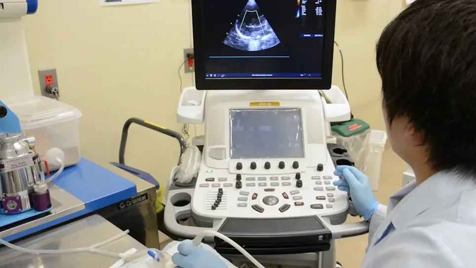 La sténose auriculaire gauche induit Arterialization veineuse pulmonaire et l’Hypertension pulmonaire chez le Rat groupe 2