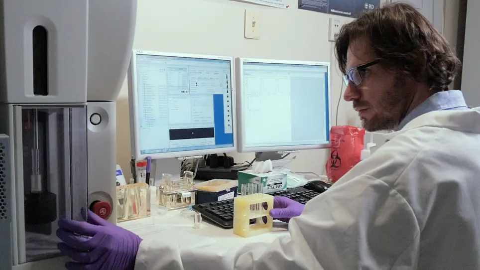 Discriminazione dei sette sottoinsiemi delle cellule immuni di due-fluorocromo flusso Cytometry