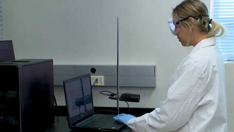 Abordagens comportamentais para estudar estresse inato em zebrafish