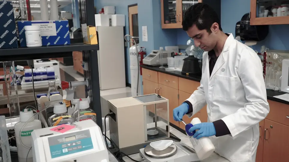 Estudiar el estrés oxidativo causado por los estreptococos del grupo Mitis en Caenorhabditis elegans