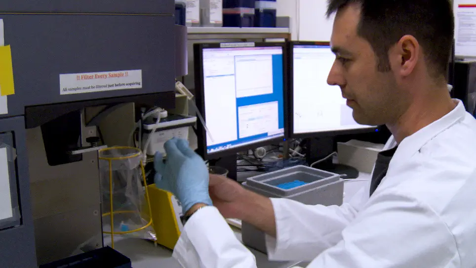 Zellzyklusspezifische Messung von H2AX und Apoptose nach genotoxischem Stress durch Durchflusszytometrie