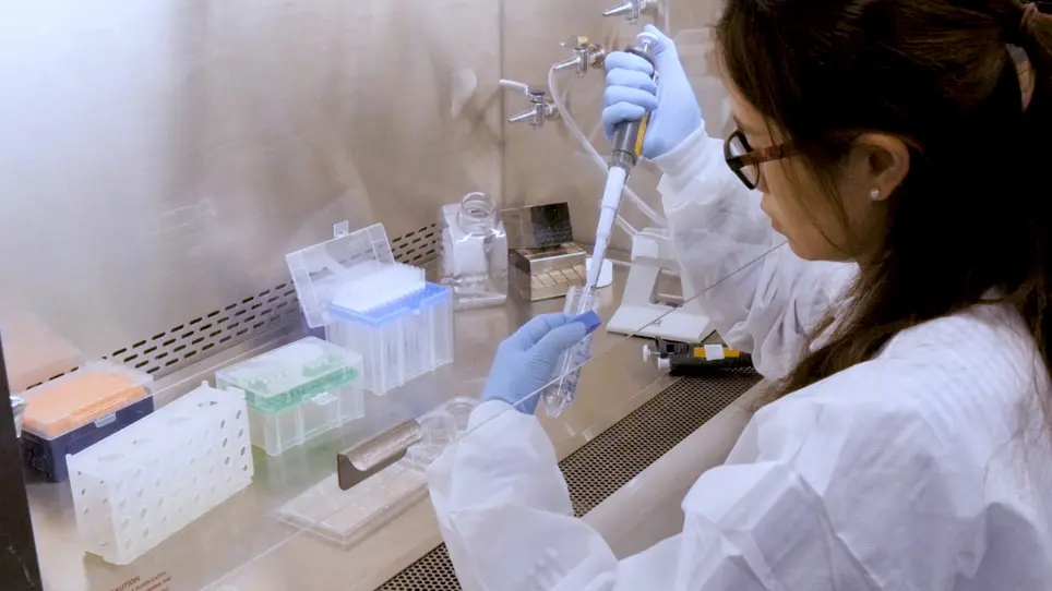 Modifica del genoma mediato da Lentiviral/Cas9 per lo studio delle cellule ematopoietiche nei modelli di malattia