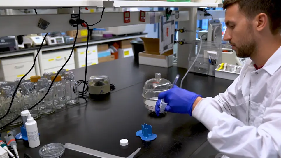 Padronização da geometria de colônias de células-tronco embrionárias humanas em substratos compatíveis para controlar a mecânica de nível de tecido