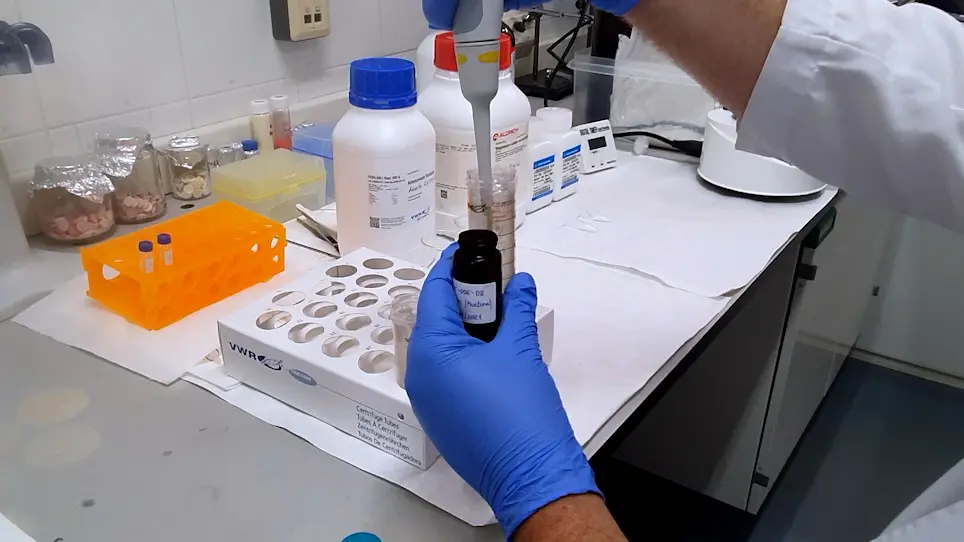 Analisi di pesticidi organoclorurati in un campione di terreno mediante un approccio QuEChERS modificato utilizzando formiato di ammonio