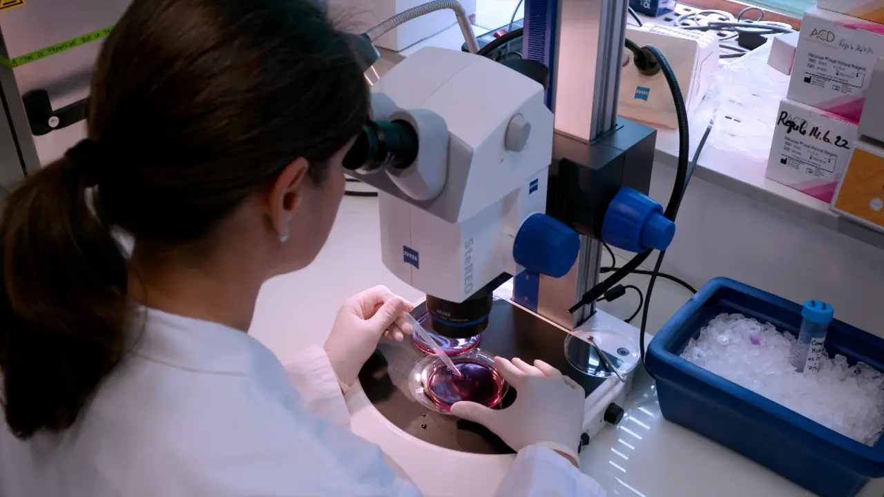 Isolamento di nuclei da cellule progenitrici cardiache di topo per il profilo dell'epigenoma e dell'espressione genica a risoluzione di singole cellule