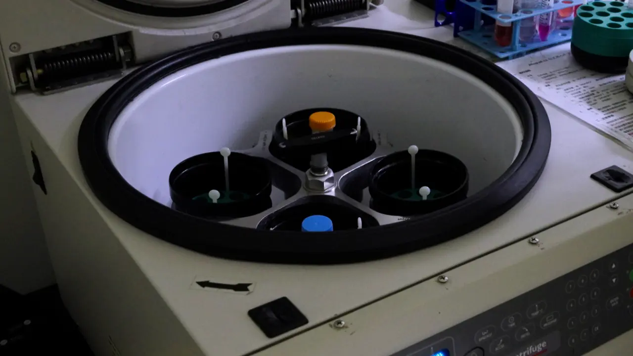 Abordagem única para isolar neutrófilos de medula óssea de rato com capacidade comparável