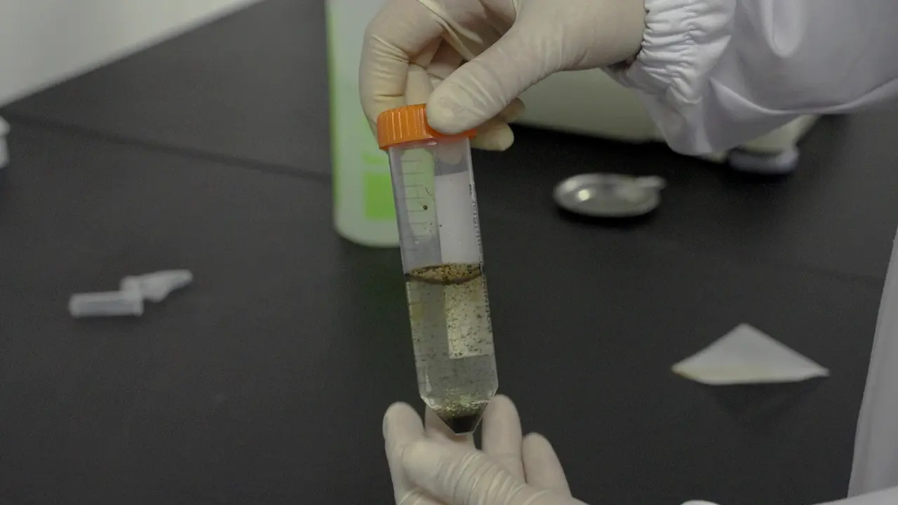 Creazione di un modello di cancro della coloproctite nei topi e valutazione dell'effetto terapeutico della medicina cinese