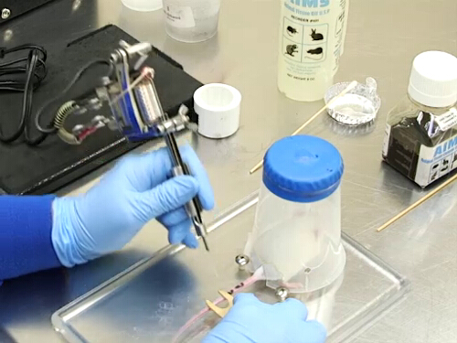 组织工程实验,3D打印装置,再生医学研究,实验室流程。
