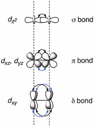 Quadruply Metal-Metal Bonded Paddlewheels | Inorganic Chemistry | JoVE