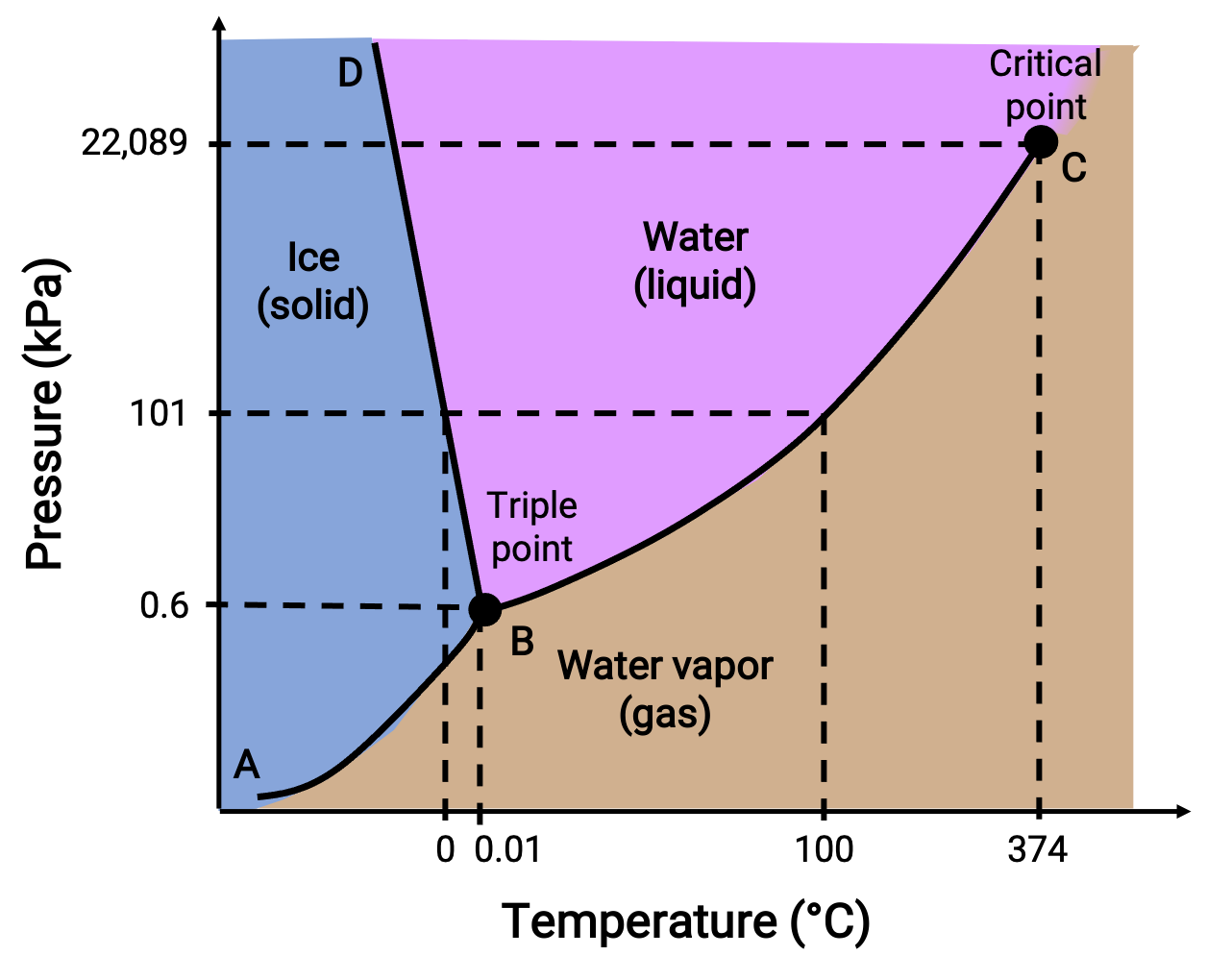 supercritical water phase diagram