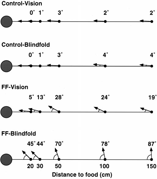 figure-protocol-5 figure-protocol-5