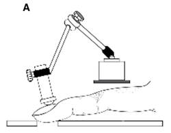 Figure 2a