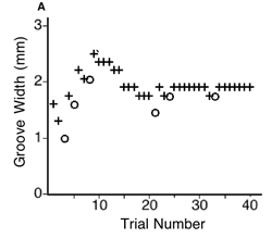 Figure 4a