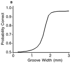 Figure 4b