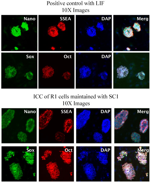 Figure 2 and 3