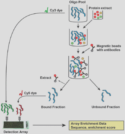 Figure 1c