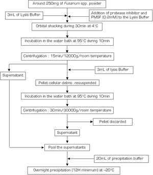 Figure 3a