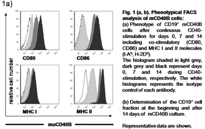 Figure 1 a