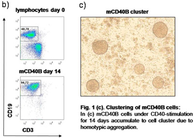 Figure 1 b