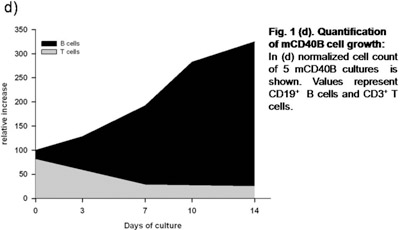 Figure 1 d