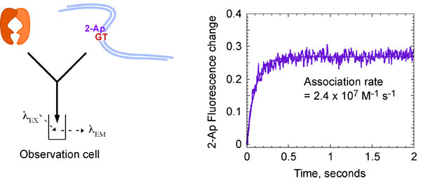 Figure 4a