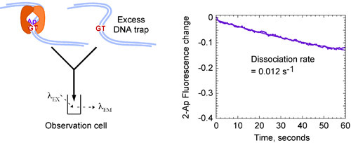 Figure 4b