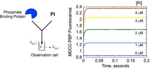 Figure 7a