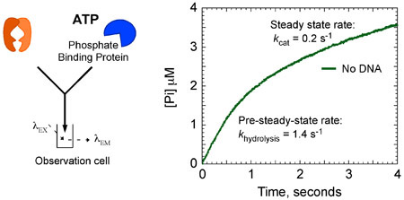 Figure 8a