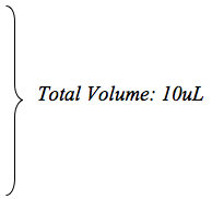 Total Volume 10 ul