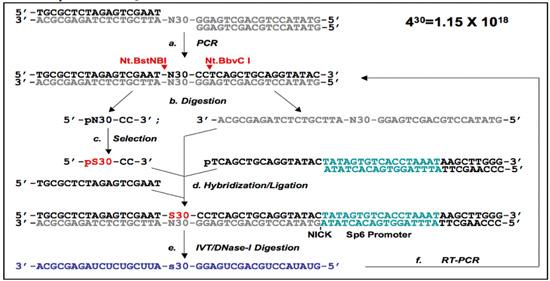 Figure 1a